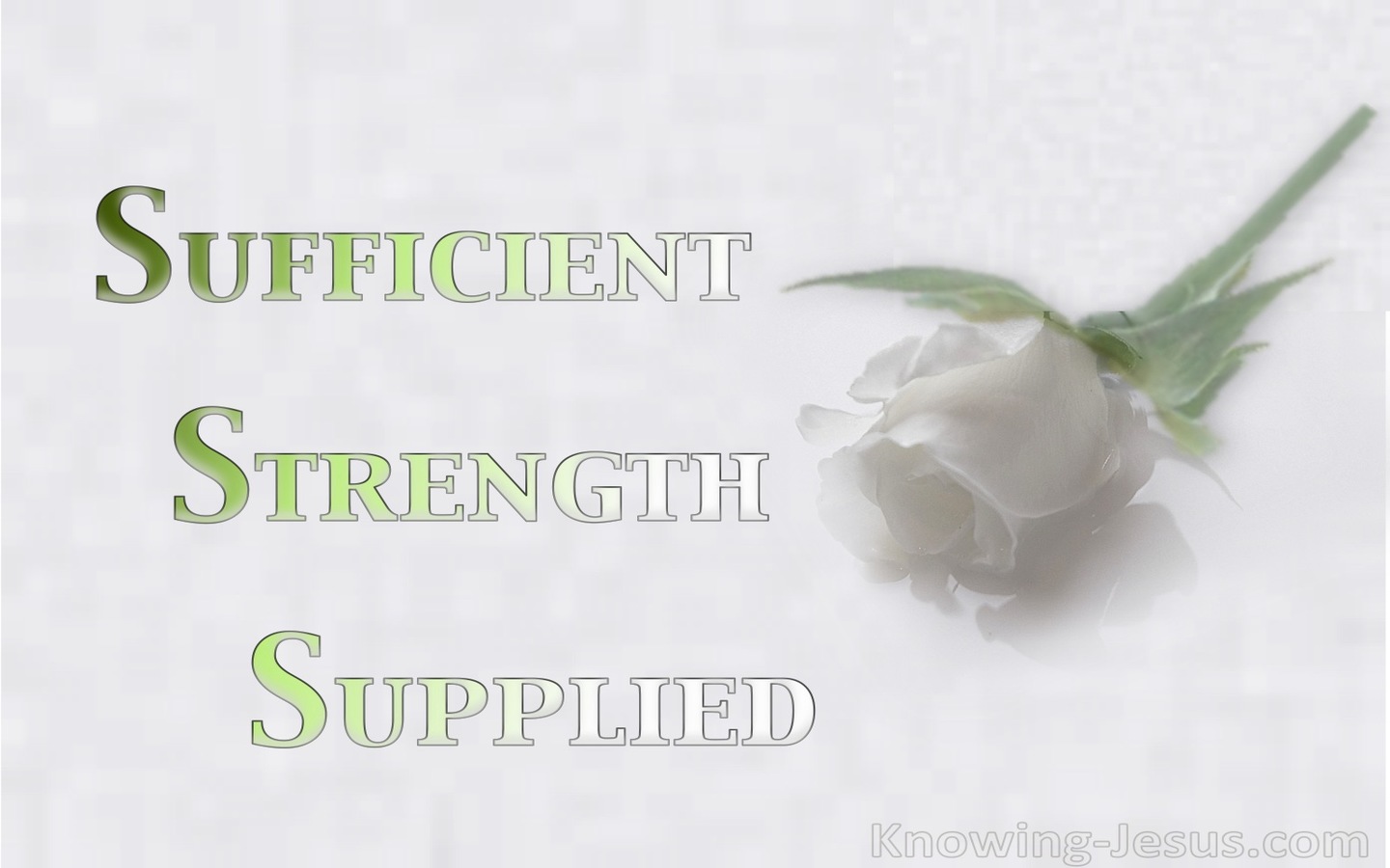 Sufficient Strength Supplied (devotional)02-26 (green)